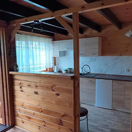 Harnasiowa Holiday home