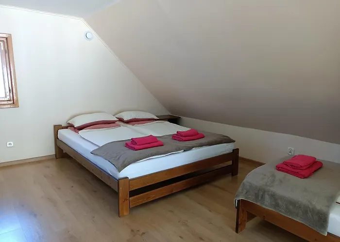 Harnasiowa Holiday home